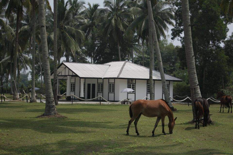 PC with Horse