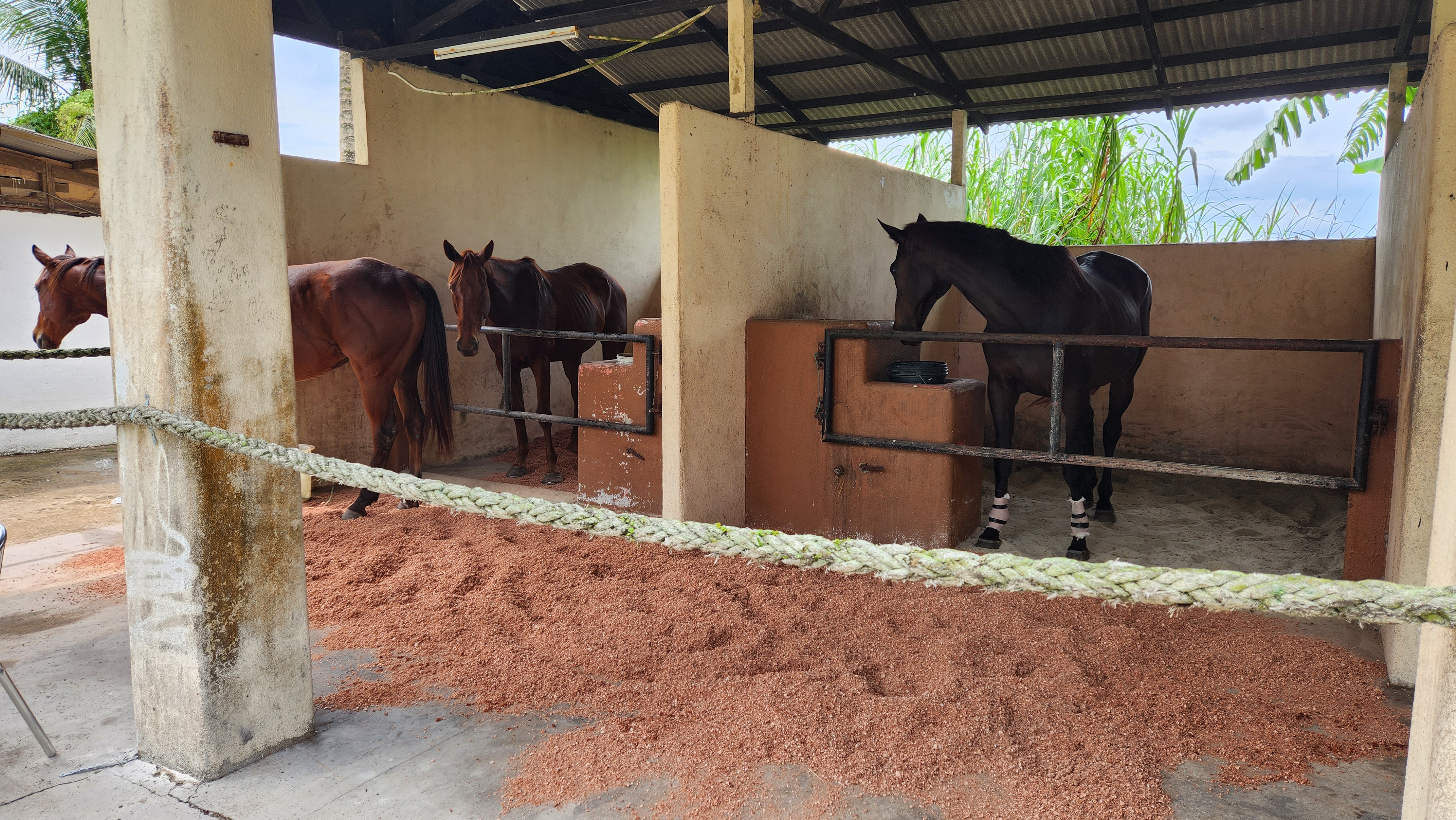 Stables